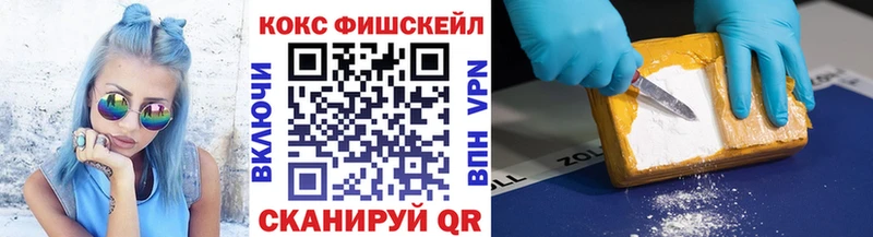 COCAIN Fish Scale  Купить где  Каменногорск 
