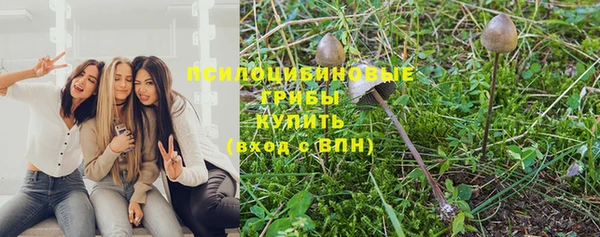 тгк Елабуга