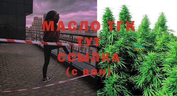 гашик Елизово