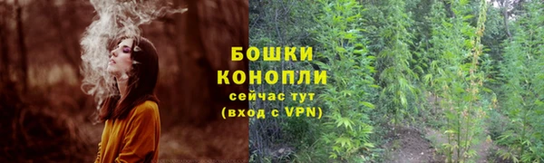 тгк Елабуга