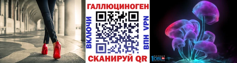 Галлюциногенные грибы мицелий  Купить  Каменногорск 