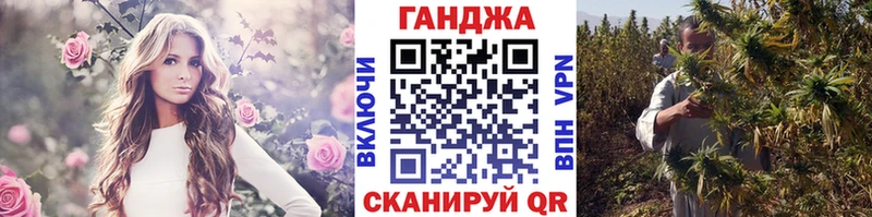 Каннабис сатива Каменногорск